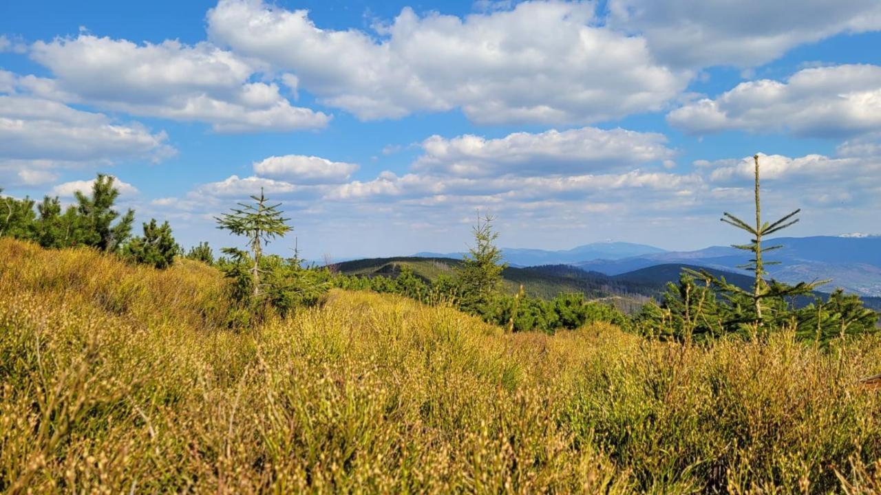 Superior Laguna Beskidow 3 Rooms! Sauna&Gym! Air Condition! Zarzecze  Esterno foto